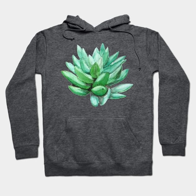 succulent echeveria Hoodie by colorandcolor